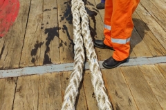IMG-20240408-WA0034