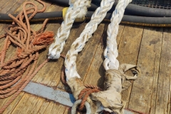 IMG-20240408-WA0035