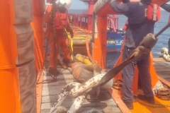IMG-20240408-WA0037