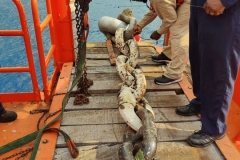 IMG-20240408-WA0038