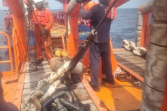 IMG-20240408-WA0039