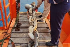 IMG-20240408-WA0040