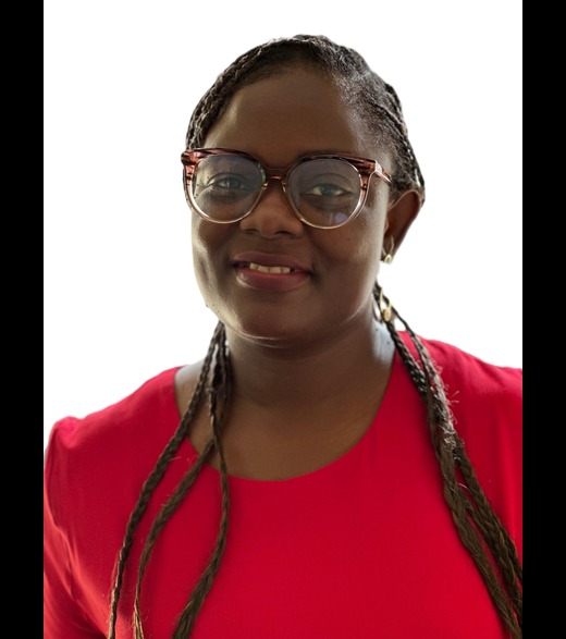 Adeyemi Adebimpe  (Head HR and Admin)